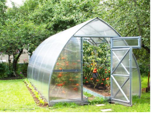 The Pros And Cons Of Greenhouse Gardening