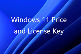 Score Large Reserve funds on a Quality modest windows 11 key