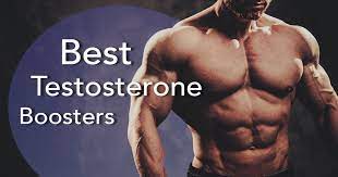 The Best Testosterone Boosters for Improved Immune Function