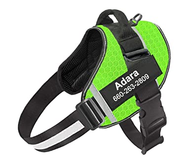 How to Get the best from Your No Pull Dog Harness: The Ultimate Manual
