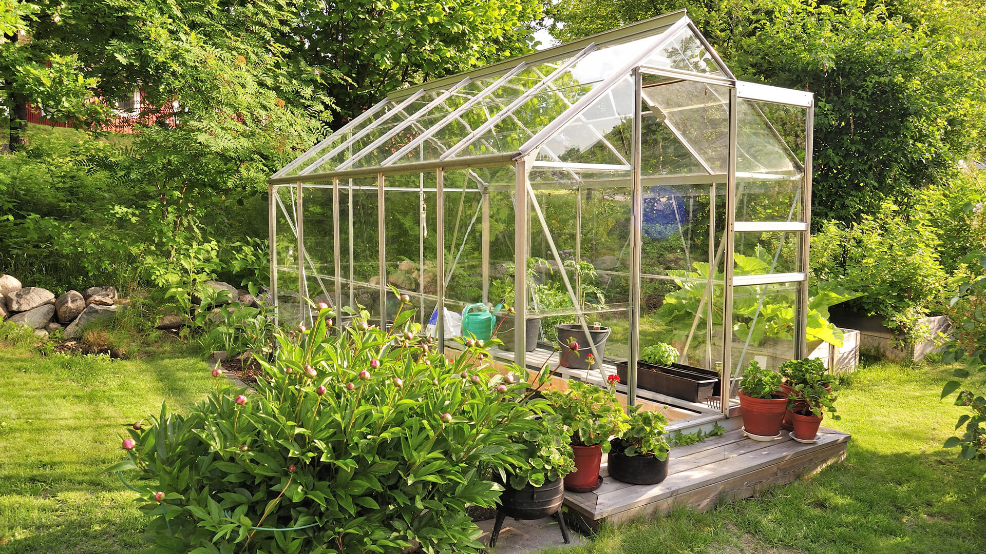 Greenhouses: An Eco Friendly Way to Increase Vegetation