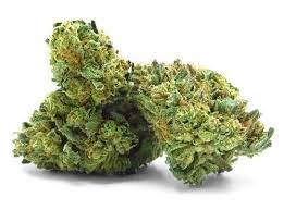 Reputable Weed Delivery Solutions in Mississauga