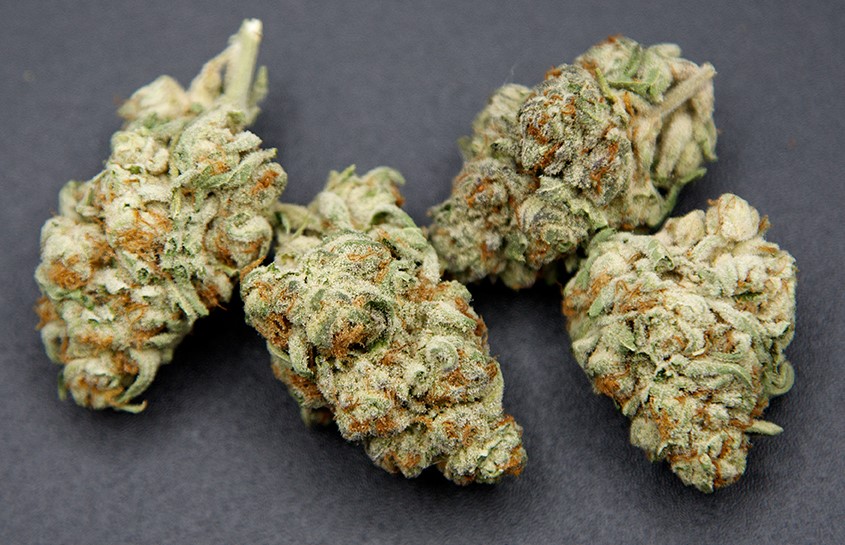 Harnessing the Healing Potential of THCA Hemp Flower