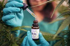 Precisely What Are A Handful Of Strategies for Picking the right Formulaswiss cbd oil Brand name?