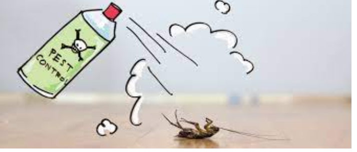 The Risks of DIY Pest Control