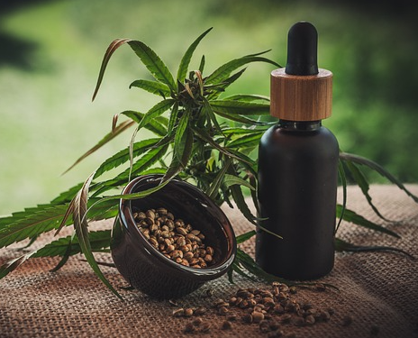 The Next Generation of CBD Products: Dog cbd for Enhanced Benefits