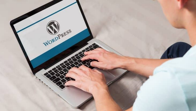 Create Distinctive Remedies with the Specialist Freelance WordPress Developer