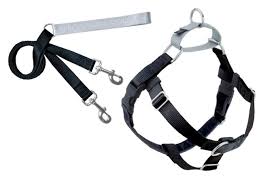 Top Brands for No-Pull Harnesses: Quality and Durability