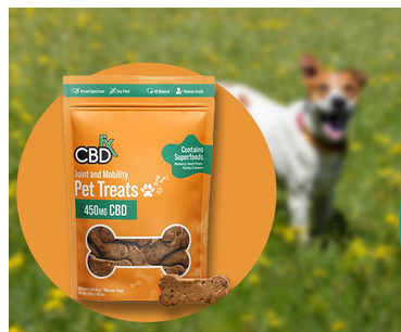 CBD Dog Treats for Anxiety and Stress Relief