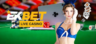 Betting Wisely: Risk Management on Eokbet Toto