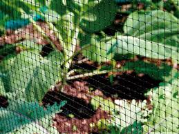 Enhancing Your Garden’s Success with Garden Netting